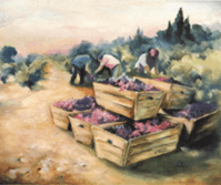 Tableau Vendange à la main